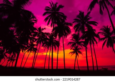 Beautiful colorful sunset on tropical ocean beach with coconut palm trees silhouettes - Powered by Shutterstock