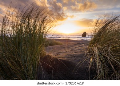 Beautiful and colorful sunset scene thru the tall grass in Gold Beach, Oregon