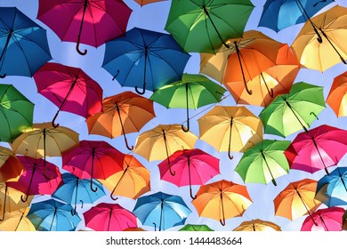 Beautiful and colorful umbrellas in downtown Pensacola for Foo Foo Festival. The umbrellas were only in town for a short time but they made a memorable impact. People came from all over to see them.
