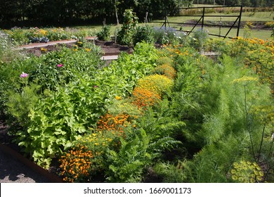 Beautiful colorful vegetable garden with flowers 