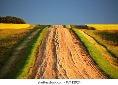 Beautiful Colors Along A Saskatchewan Country Road