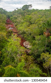 The Beautiful Colors Of Cano Cristales In Colombia.