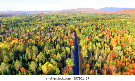 Beautiful Colors Of New England Foliage. Aerial Bird Eye View.