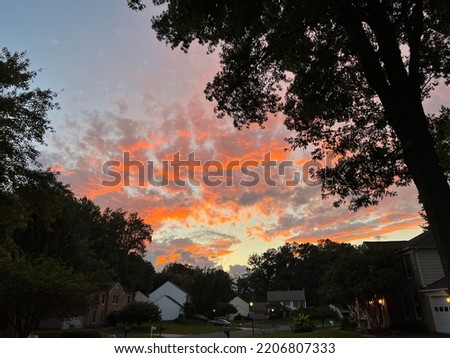 Beautiful colors on the sky and silhouetted trees during sunset 