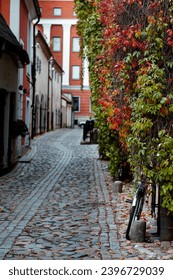 Beautiful colourful autumn leaves covering a parked bicycle in an old cobble stone street scene in Riga, Latvia