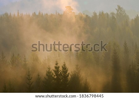 Similar – Foto Bild overfog Winter Umwelt