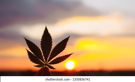 Marijuana Cannabis Sunset 420 Sunset Laptop Sleeve