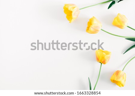 Beautiful composition of tulip, spring flowers. Yellow tulips flowers on white background. Valentine's Day, Easter, 8th march, Happy Women's Day, Mother's Day. Flat lay, top view, copy space