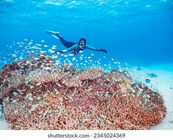Beautiful Coral Reef, Blue green damselfish school with Diver, NISHIBAMA Beach, AKA Beach,