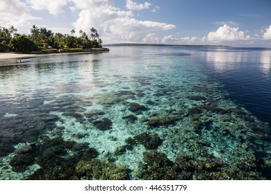 A beautiful coral reef drops into deep water near a resort off the southern coast of Sulawesi, Indonesia. This area is part of the Coral Triangle and harbors extraordinary marine biodiversity. 
