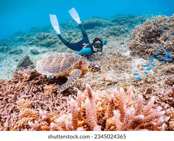 Beautiful Coral Reef, Hawksbill turtle with Diver, AMA Beach, ZAMAMI Beach,