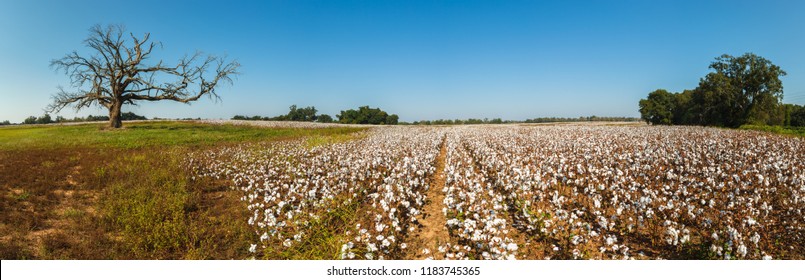 Alabama Landscape Bilder Stockfotos Und Vektorgrafiken Shutterstock