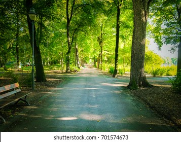 Beautiful Country Road in forest.