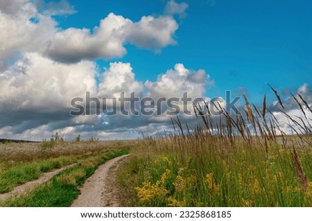 Beautiful countryside dirt road in the field with wildgrass with blue sky and clouds on the background