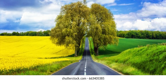 beautiful countryside of France. Blooming yellow fields and arch tree on the road. beauty in nature