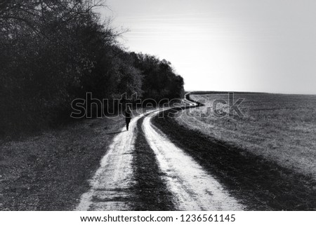 Similar – Holzweg Umwelt Natur