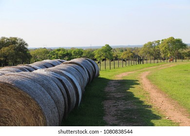 The Beautiful Countryside Of South East Texas. 