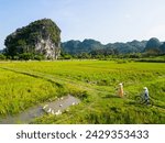 Beautiful couple exploring by bikes countryside and rice fields in Ninh Binh Vietnam