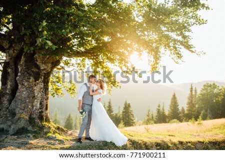 beautiful couple kissing under an oak a day