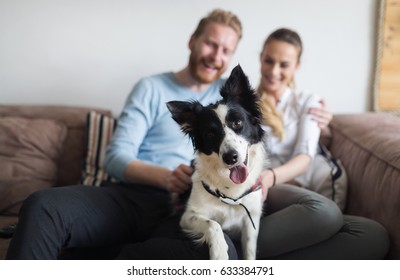 Beautiful Couple Relaxing At Home And Loving Their Pet