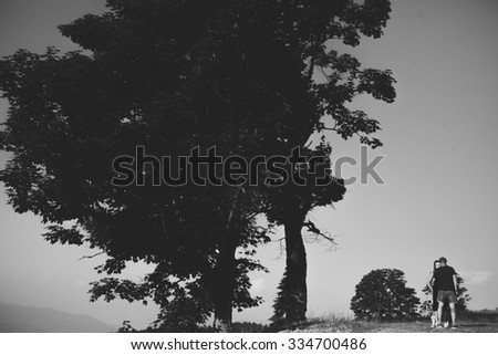 Image, Stock Photo maverick Tree Heathland