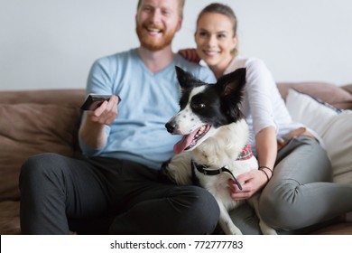 Beautiful Couple Watching Television At Home With Their Dog