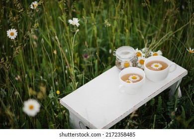 Beautiful Cozy Summer Picnic With Fresh Herbal Chamomile Tea On Flower Meadow At Sunset.