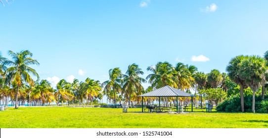 Beautiful Crandon Park Beach In Key Biscayne In Miami