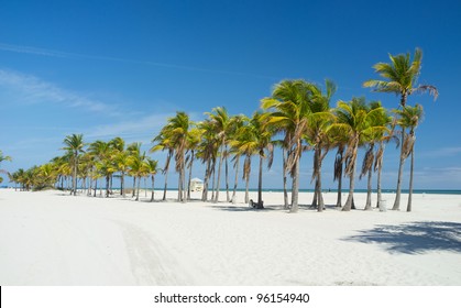 Beautiful Crandon Park Beach In Key Biscayne In Miami.