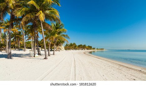 Beautiful Crandon Park Beach located in Key Biscayne in Miami.