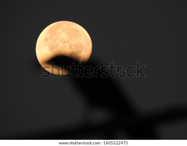 Beautiful crow silhouette with\
moon