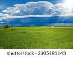 Beautiful cumulus clouds (cumulonimbus) on blue sky with torrential rain over a rural landscape with a green wheat field in springtime. Padan Plain or Po valley (Pianura Padana, Italian). Italy.