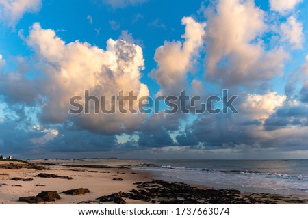 Beautiful cumulus clouds lit by the sunrise sun. Water in gaseous form in a cloud.