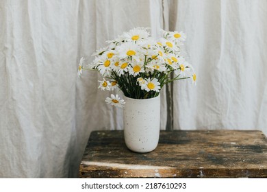 Beautiful Daisy Flowers On Wooden Rural Chair In Rustic Room. Summer Vibes, Simple Home Decor In Countryside. Daisy Bouquet In Modern Ceramic Vase In Sunny Room. Copy Space