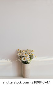 Beautiful Daisy Flowers In Sun Ray On White Background. Summer Vibes, Simple Home Decor. Daisy Bouquet In Modern Ceramic Vase In Boho Room. Summer Wallpaper, Copy Space