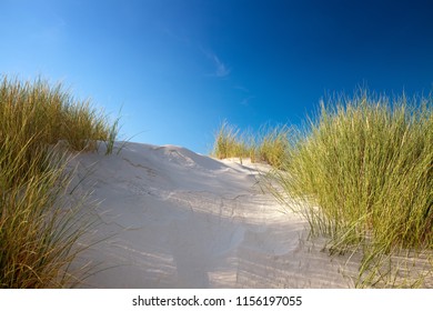 Beautiful Danish Coastline At Summer