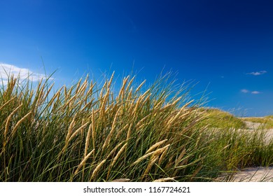 Beautiful Danish Coastline In Summer