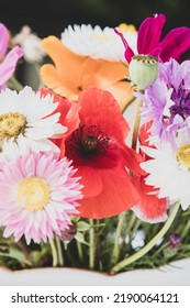 The Beautiful Danish Summer Flowers