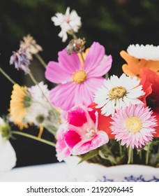 The Beautiful Danish Summer Flowers