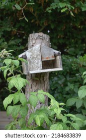 The Beautiful Danish Summer Garden