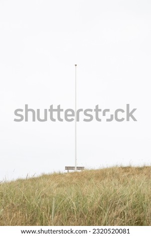 Flying rainbow kites coast