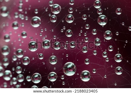 Beautiful dark background with necklace of water droplets on cobweb.Spiderweb net texture with morning rain dew close-up.Rain drops on spider web in nature.Macro pattern in contrast focus
