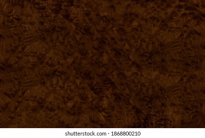 Beautiful Dark Brown Burl Wood Veneer Texture