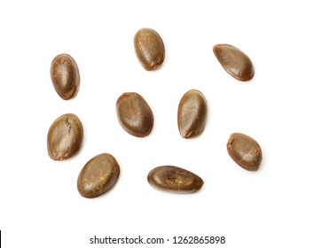 Beautiful Dark Brown Color Seeds Of Custard Apple( Sugar-apple, Sweetsop, Custard Apple, Ata, Aati, Mati Anoda, Awzar Thee) Isolated On White Background.Its Seed Used In Native Medicine.macro Closeup.