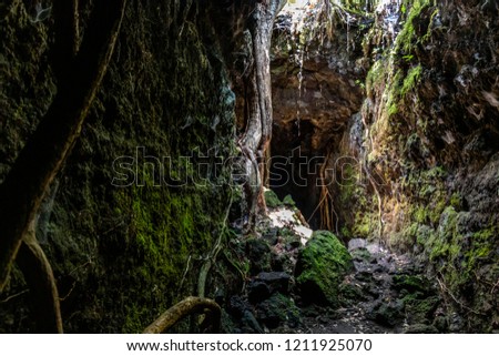 Beautiful dark Cave in Rangitoto Island, New Zealand.