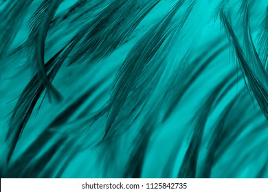 6,821 Emerald green feather Images, Stock Photos & Vectors | Shutterstock