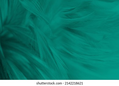 Beautiful dark green vintage color trends feather texture background: stockfoto