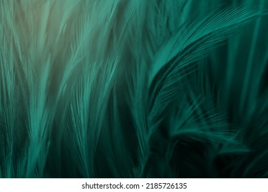 6,821 Emerald green feather Images, Stock Photos & Vectors | Shutterstock