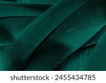 Beautiful dark green viridian vintage color trends feather texture background