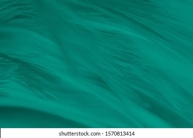 Viridian Green Images, Stock Photos & Vectors | Shutterstock